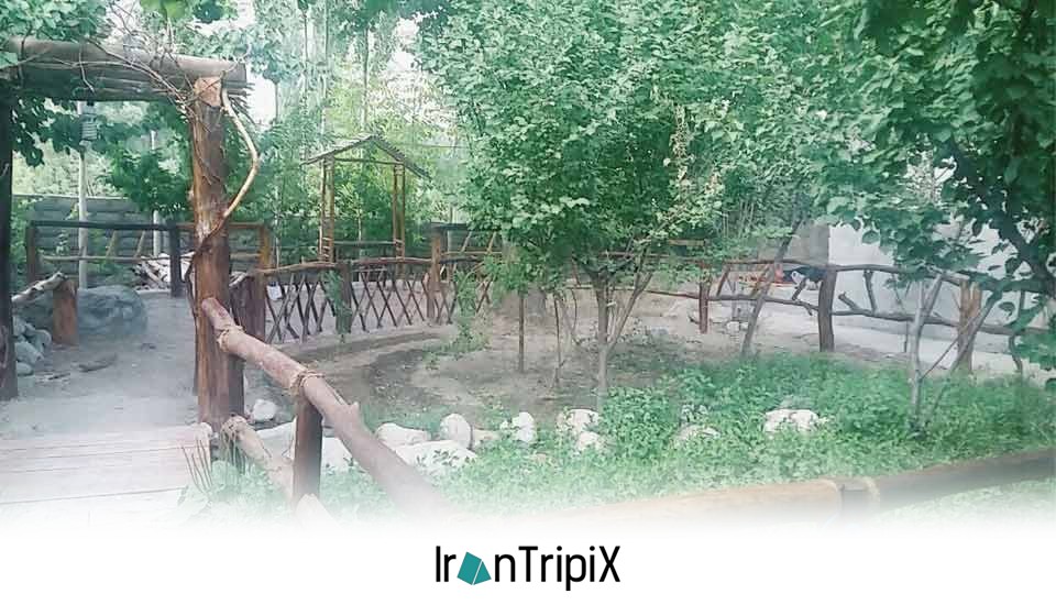 Ours Eco Lodge Delfard