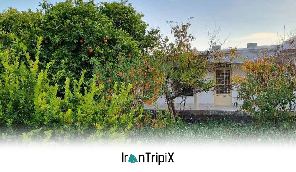 Doscin Eco Lodge Dareshahr Valley