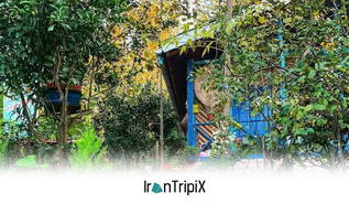 Peaceful Forest Cabin Neshtarud