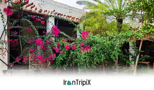 Ecolodge Art Garden Qeshm