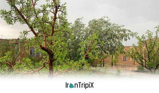 Karbasi Ecolodge Nehbandan