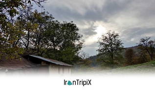 کلبه مش صفر کردکوی