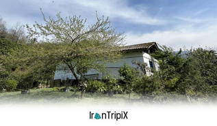 Dream Cabin in Paradise Neshtarud
