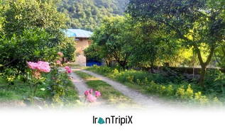 Ecolodge Naranjestan Shahsavar Khorramabad, Tonekabon