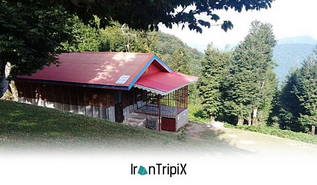 Peyma Wooden Cabin