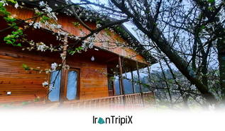 Kelbagh Bagh Vanousheh Stay